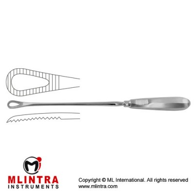 Pestalozza Placenta Scoop Stainless Steel, 30 cm - 11 3/4"